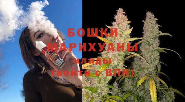сатива Богородицк