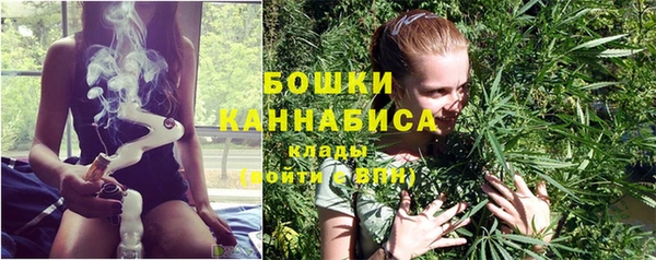 прущий лед Богородск