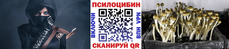 Галлюциногенные грибы мухоморы  Шумиха 